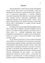 Referāts 'Проблема организации туров сафари по Южной Африке на примере SIA "Tūrisma aģentū', 3.