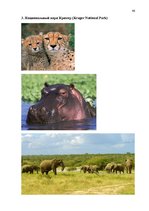 Referāts 'Проблема организации туров сафари по Южной Африке на примере SIA "Tūrisma aģentū', 60.