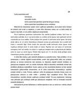 Diplomdarbs 'Administratīvais process Valsts darba inspekcijā', 28.