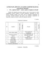 Referāts 'Uzņēmums SIA "Aglonas maize"', 8.