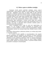 Referāts 'Uzņēmums SIA "Aglonas maize"', 18.