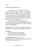 Referāts 'Jurista darbības veidi', 3.