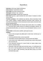 Referāts 'Tirdzniecības tīkls internetā (elektroniskais bizness)', 3.