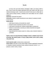 Referāts 'Tirdzniecības tīkls internetā (elektroniskais bizness)', 19.