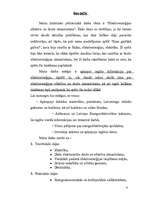 Referāts 'Elektroenerģijas droša un efektīva izmantošana', 4.