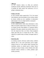 Referāts 'Elektroenerģijas droša un efektīva izmantošana', 9.