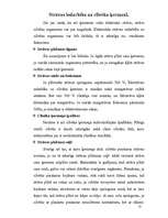 Referāts 'Elektroenerģijas droša un efektīva izmantošana', 15.