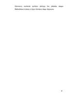 Referāts 'Elektroenerģijas droša un efektīva izmantošana', 19.