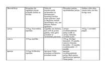 Konspekts 'Austrumeiropas valstu politiskā iekārta 20. - 30.gados', 3.