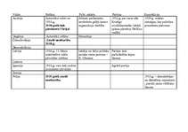 Konspekts 'Austrumeiropas valstu politiskā iekārta 20. - 30.gados', 7.