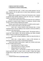Diplomdarbs 'Eiro, kā starptautiska maksājumu līdzekļa, loma pasaulē un Latvijā', 19.