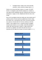Prakses atskaite 'Reklāmas daļa', 7.