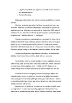 Prakses atskaite 'Reklāmas daļa', 29.