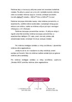 Prakses atskaite 'Reklāmas daļa', 49.