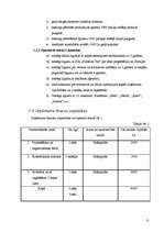 Biznesa plāns 'SIA "Forsman"', 6.