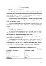 Biznesa plāns 'SIA "Forsman"', 11.