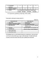 Biznesa plāns 'SIA "Forsman"', 13.