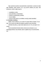 Biznesa plāns 'SIA "Forsman"', 22.