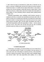 Diplomdarbs 'Ekstremālās programmēšanas lietošanas labās prakses', 24.