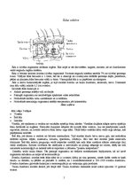 Prakses atskaite 'Pedikīrs', 3.