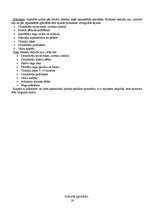 Prakses atskaite 'Pedikīrs', 17.