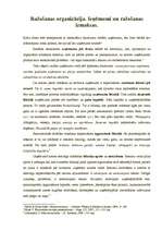 Konspekts 'Ražošanas organizācija. Ieņēmumi un ražošanas izmaksas', 1.