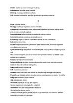 Konspekts 'Termini dabaszinātnēs', 3.