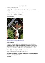 Prezentācija 'Krucifiksi Latgalē', 35.