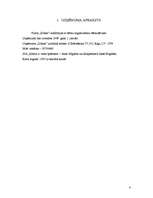 Biznesa plāns 'SIA "Ilibora"', 4.