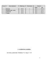 Biznesa plāns 'SIA "Ilibora"', 11.