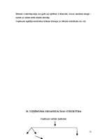 Biznesa plāns 'SIA "Ilibora"', 12.