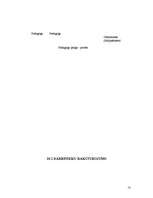 Biznesa plāns 'SIA "Ilibora"', 13.