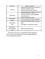 Biznesa plāns 'SIA "Ilibora"', 15.