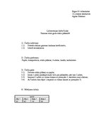 Paraugs 'Laboratorijas darbs fizikā. Gaismas staru gaita stikla plāksnītē', 1.