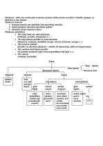 Konspekts 'Adhezīvi un pārklājumi', 2.