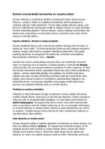 Konspekts 'Šumeru vēsture, kultūra, mitoloģija, sabiedrība un kultūras mantojums', 8.