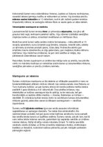 Konspekts 'Šumeru vēsture, kultūra, mitoloģija, sabiedrība un kultūras mantojums', 14.