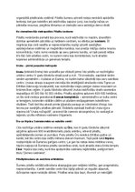 Konspekts 'Šumeru vēsture, kultūra, mitoloģija, sabiedrība un kultūras mantojums', 18.