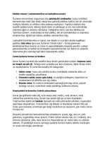 Konspekts 'Šumeru vēsture, kultūra, mitoloģija, sabiedrība un kultūras mantojums', 20.
