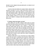 Referāts 'Mājas lapu izstrāde aģentūrā SIA "Not Perfect"', 20.