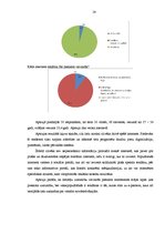 Referāts 'Mājas lapu izstrāde aģentūrā SIA "Not Perfect"', 28.