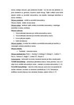 Referāts 'Verbālā, neverbālā komunikācija veiksmīgas sadarbības veidošanai ar klientiem', 5.