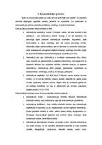 Referāts 'Verbālā, neverbālā komunikācija veiksmīgas sadarbības veidošanai ar klientiem', 6.