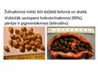 Prezentācija 'Žultsakmeņu slimība', 3.