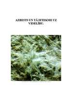 Referāts 'Azbests un veselība', 1.