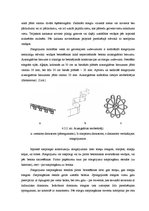 Diplomdarbs 'Dzīvojamo ēku konstrukcijas', 15.