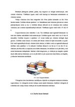 Diplomdarbs 'Dzīvojamo ēku konstrukcijas', 19.