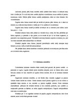 Diplomdarbs 'Dzīvojamo ēku konstrukcijas', 33.