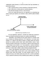Diplomdarbs 'Ūdens un kanalizācijas apsaimniekošanas uzņēmuma klientu apkalpošanas pilnveidoš', 14.