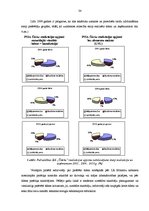 Diplomdarbs 'Ūdens un kanalizācijas apsaimniekošanas uzņēmuma klientu apkalpošanas pilnveidoš', 33.